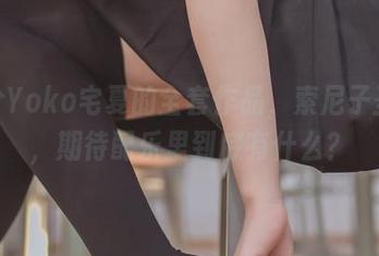 满分Yoko宅夏的全套作品，索尼子圣诞，期待配乐里到底有什么？