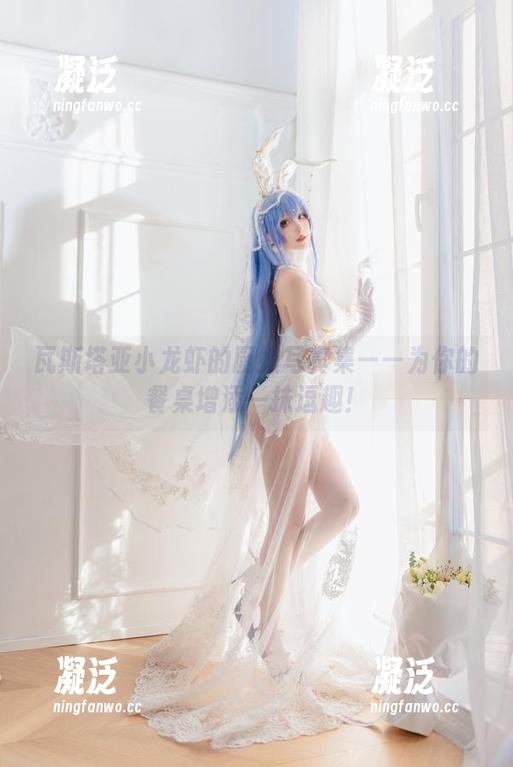 瓦斯塔亚小龙虾 瓦斯塔亚小龙虾的厨娘写真集——为你的餐桌增添一抹逗趣!